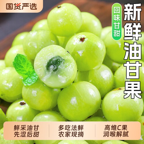 新鲜油甘果5斤当季酸甜鲜果