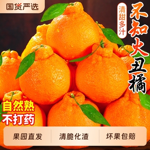 包邮 正宗不知火丑橘丑八怪四川高山新鲜水果当季 蜜耙耙桔子柑整箱