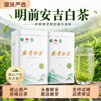 安吉白茶2026新茶叶特级明前绿茶