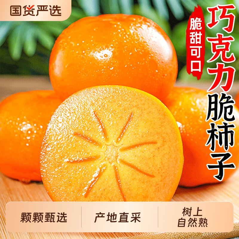 正宗巧克力脆柿子新鲜水果柿子应当季整箱包邮冰糖心黄甜脆硬柿子