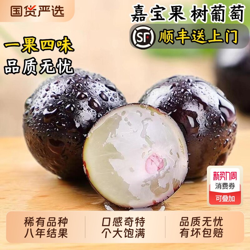 【顺丰包邮】新鲜嘉宝果树葡萄现货现摘精品孕妇果整箱大果包邮