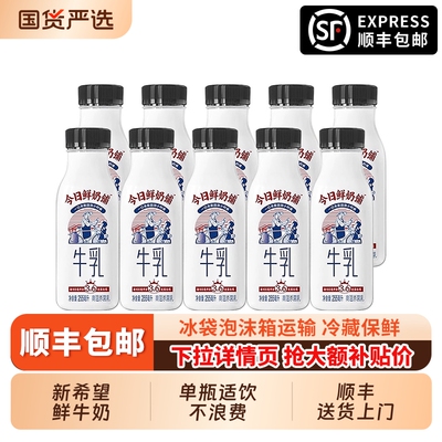 新希望今日鲜奶铺255ml*10瓶装学生营养早餐奶纯牛奶低温冷鲜牛奶