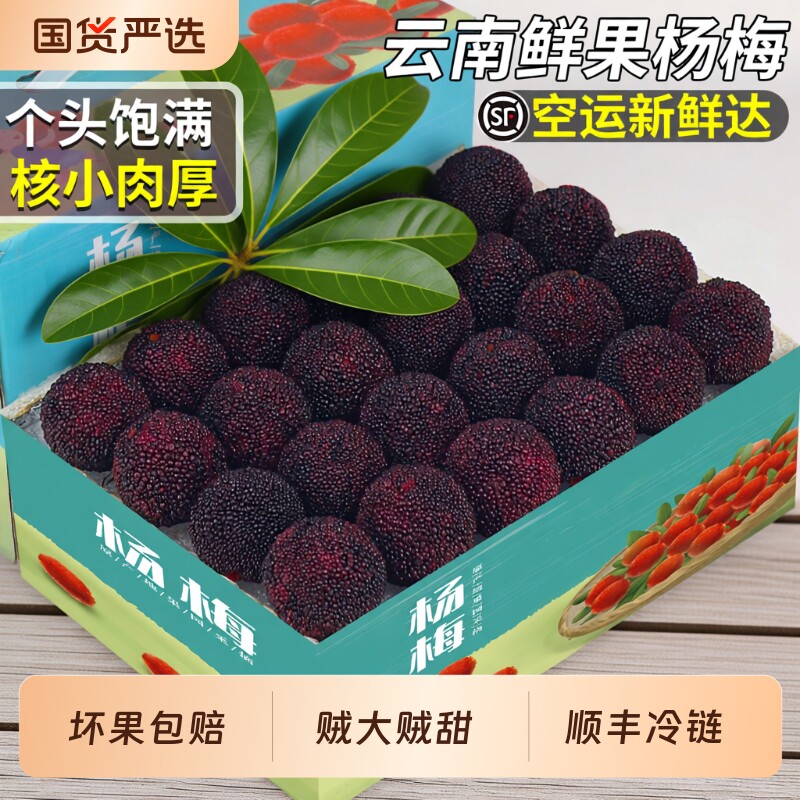 顺丰空运云南杨梅鲜果当季新鲜现摘现发非冷冻特大果整箱现货包邮