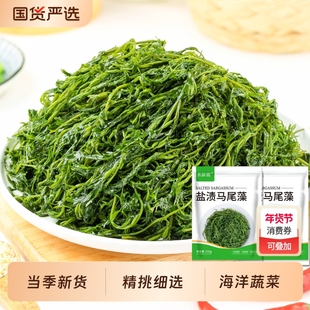 鞭炮笋海笋长寿菜凉拌菜海草藻菜火锅食材鞭泡笋盐渍马尾藻羊栖菜