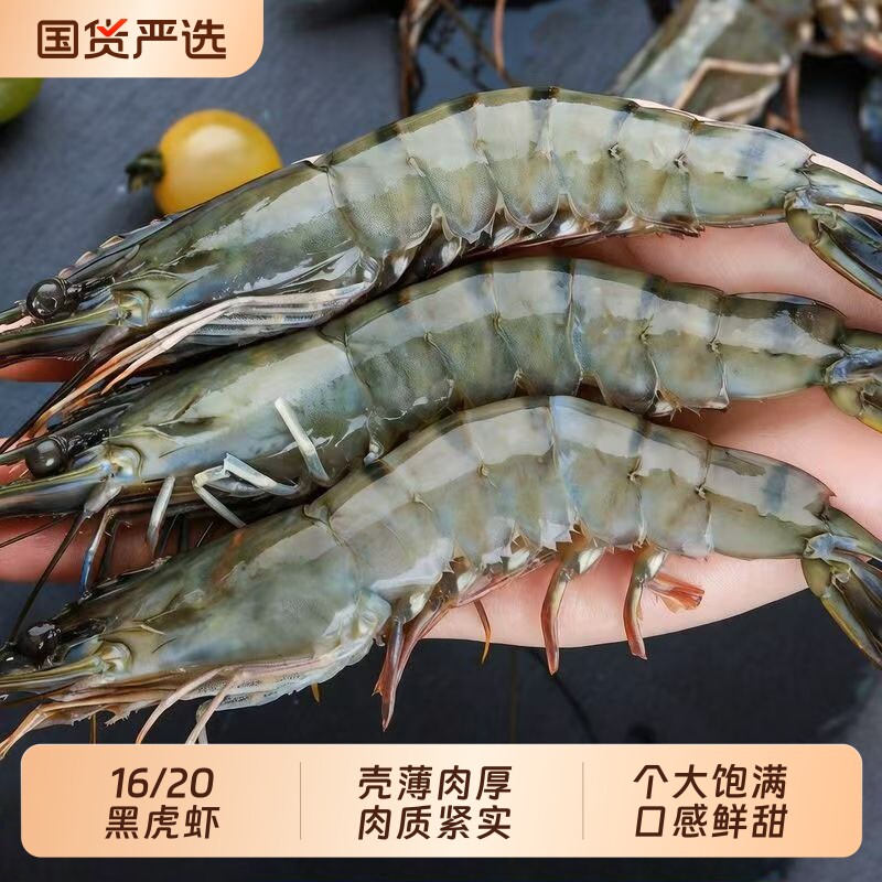 鲜活速冻黑虎虾16/20规格大号黑虎虾海虾海鲜冷冻大虎虾1kg/盒