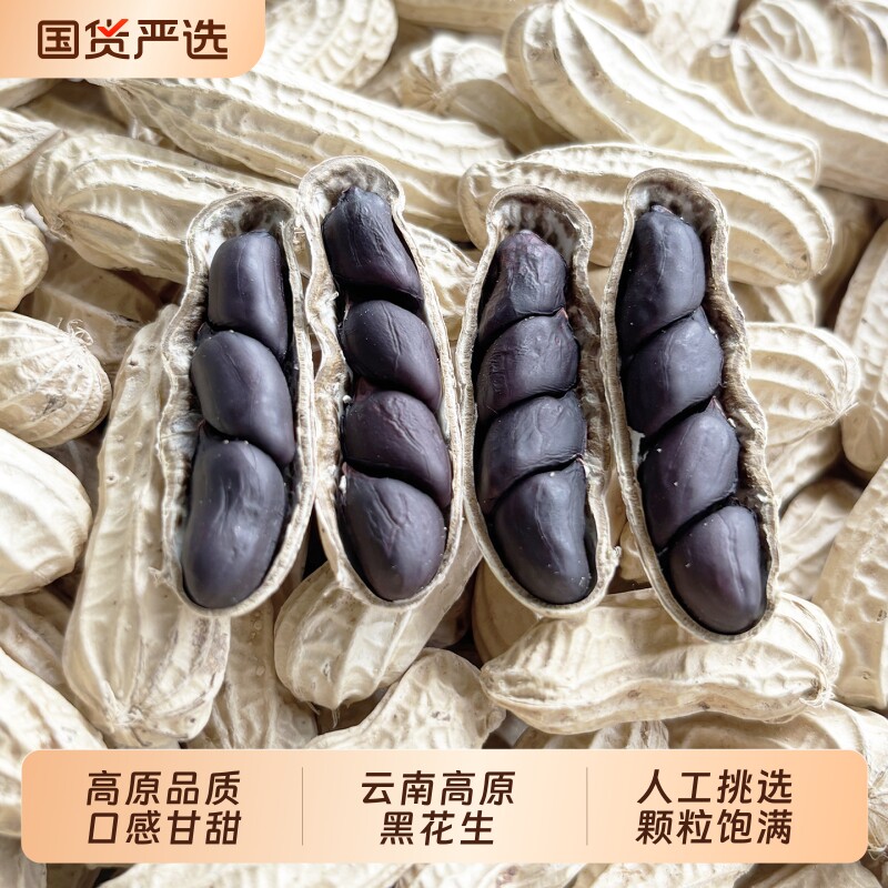 云南特产黑花生富硒带壳生的原味炒熟黑皮花生花生米晒干大颗粒