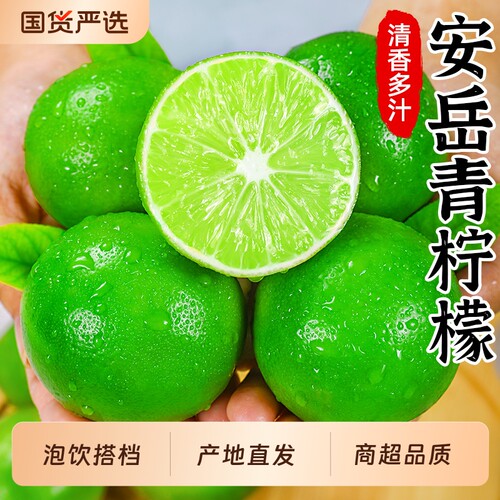 四川安岳青柠檬5斤|泡饮搭档！