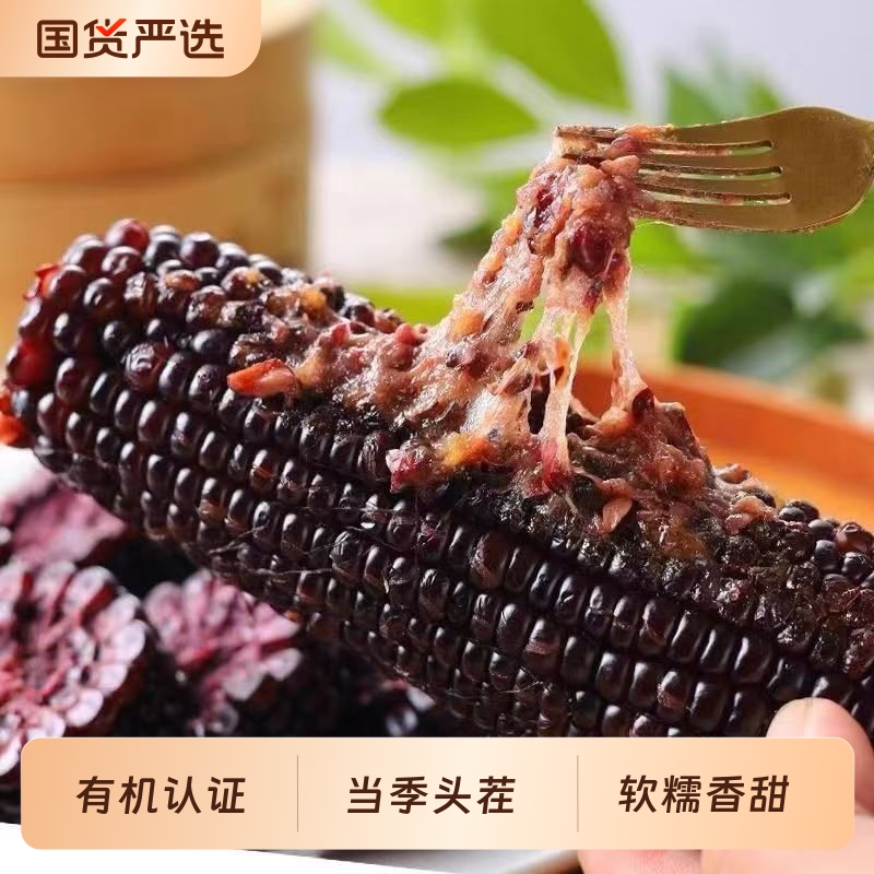 金沃有机紫黑糯玉米300g新鲜甜糯玉米棒粘黏真空装包装袋早餐粗粮