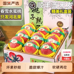 顺丰正宗春雪水蜜桃子应当季新鲜水果现摘脆甜大油冬桃礼盒装包邮