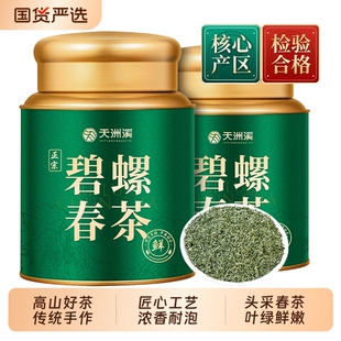 天洲溪新茶2026绿茶碧螺春明前茶叶浓香型自己喝罐装口粮茶500g