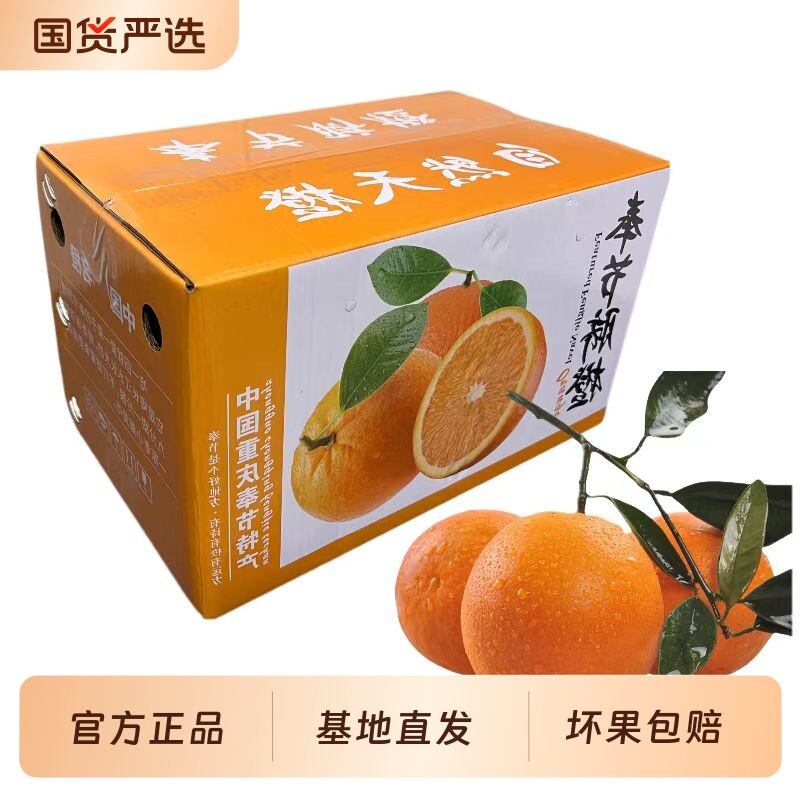 渝见橙正宗重庆奉节脐橙当季新鲜水果酸甜多汁脆嫩化渣橙子手剥橙