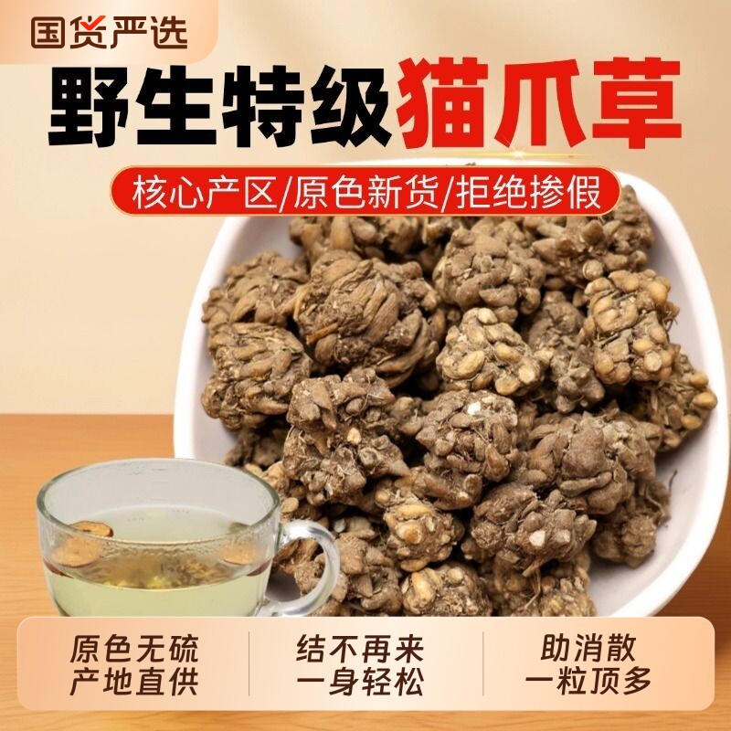 野生猫爪草中药材正品水洗猫抓草中草药材猫瓜草猫爪茶毛抓草