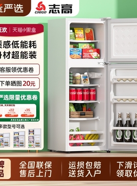 志高一级能效小冰箱家用小型租房宿舍迷你省电办公室双开门电冰箱