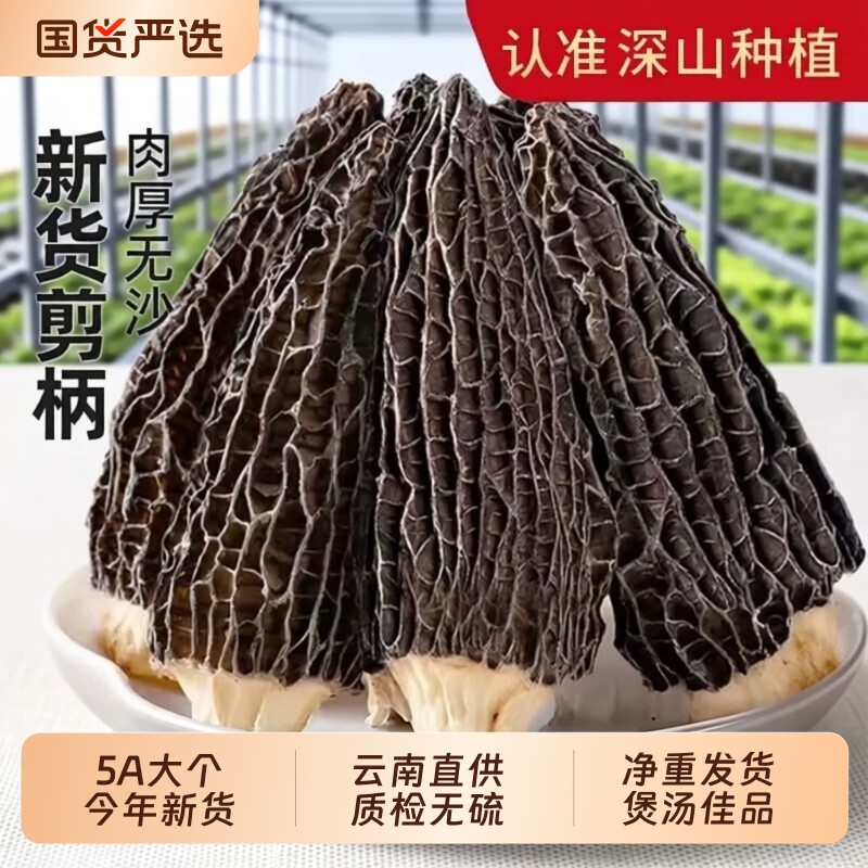 羊肚菌干货官方旗舰店云南特产野生500g牛肚蘑新鲜菌菇羊肚菌国货