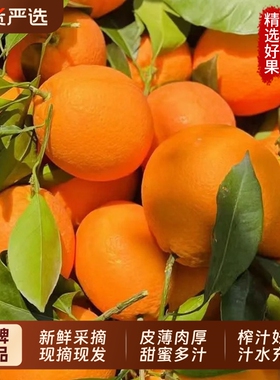 伦晚脐橙秭归春橙甜橙子榨汁当季时令孕妇5水果9整箱包邮大果现摘