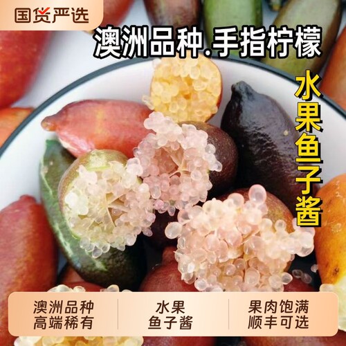 新鲜稀有手指柠檬指橙澳洲品种水果鱼子酱西餐食材摆盘顺丰可选