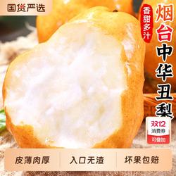 正宗中华丑梨新鲜梨子软糯奇葩当季水果山东烟台啤梨多汁整箱包邮
