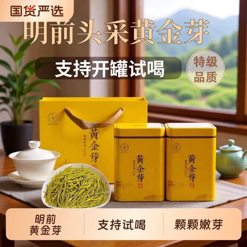 头采明前黄金芽茶叶吉安茶树白茶高山绿茶礼盒罐装嫩芽浓香特色