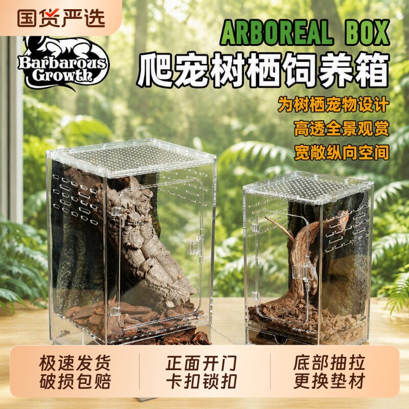 亚克力树栖树蛙睫角饲养箱守宫生态造景爬宠专用缸螳螂饲养盒蜘蛛