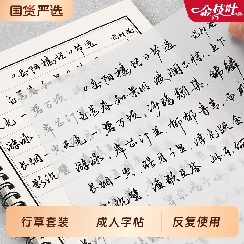 行草字帖成人练字临摹速成套装