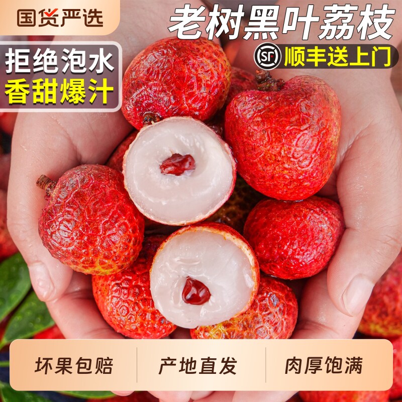 顺丰漳州黑叶荔枝当季早熟新鲜水果甜白糖桂花味妃子罂笑整箱包邮