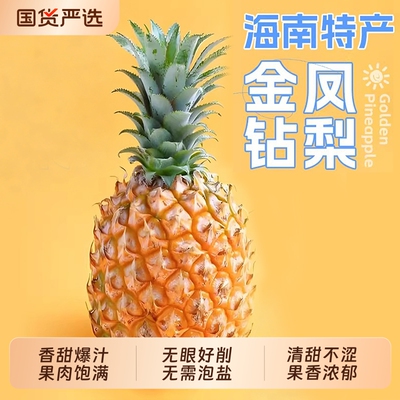 海南金钻凤梨新鲜水果当季粉色风梨手撕香水菠萝特产大果无眼整箱