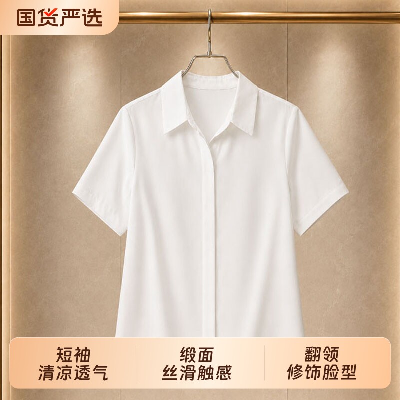 夏季新款职业通勤正装公务员衬衫图片