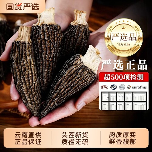 云南羊肚菌干货特级剪柄菇野生菌有机正品煲汤料包新鲜营养炖汤