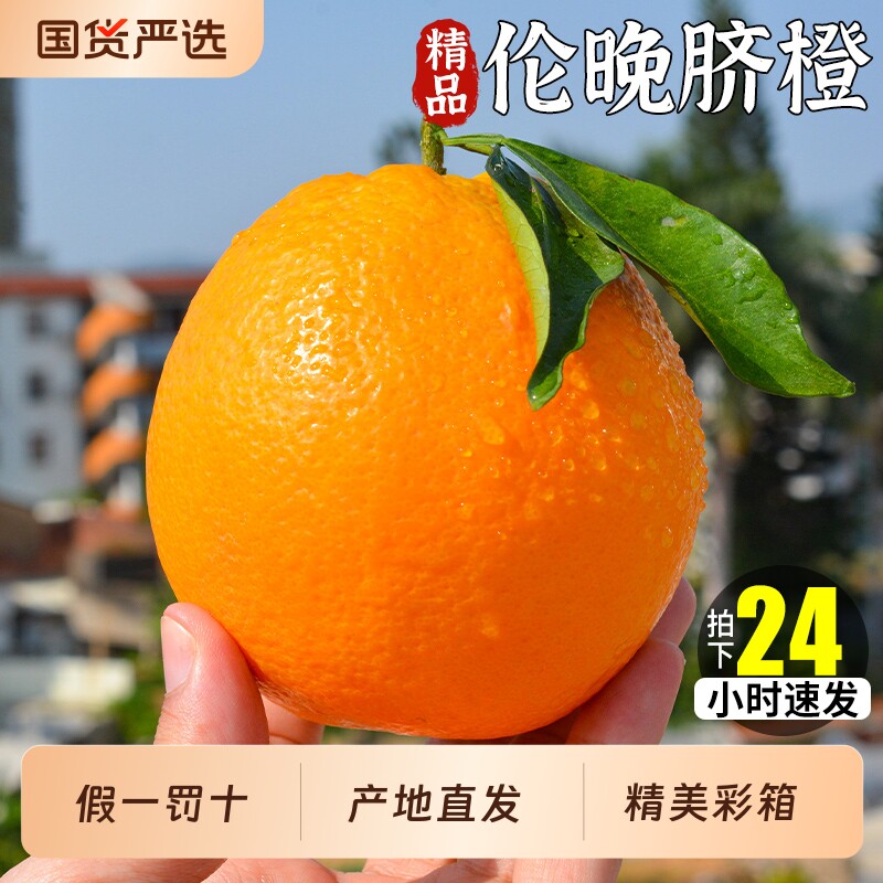 橙子新鲜9斤大果伦晚脐橙湖北宜昌甜脐橙孕妇现摘鲜当季整箱水果