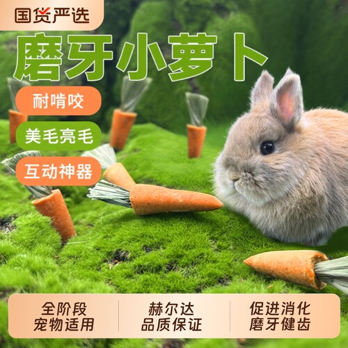 兔子磨牙提草小萝卜零食