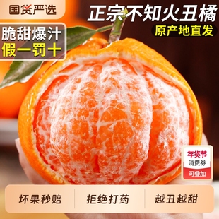 四川不知火丑橘应当季新鲜水果高山耙耙丑八怪手剥柑桔子整箱包邮