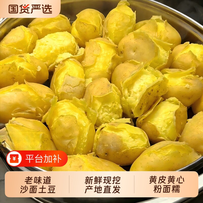26年新鲜土豆甘肃定西土豆黄皮黄心粉糯沙面马铃薯蔬菜洋芋当季