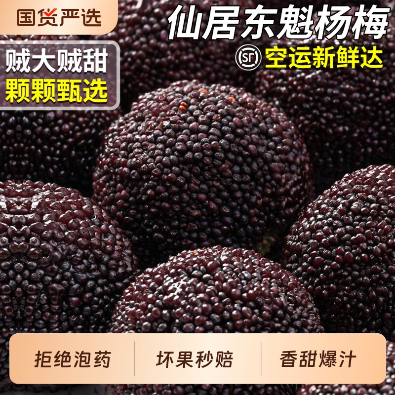 顺丰空运正宗仙居东魁杨梅新鲜当季鲜果现摘现发整箱颗粒装包邮
