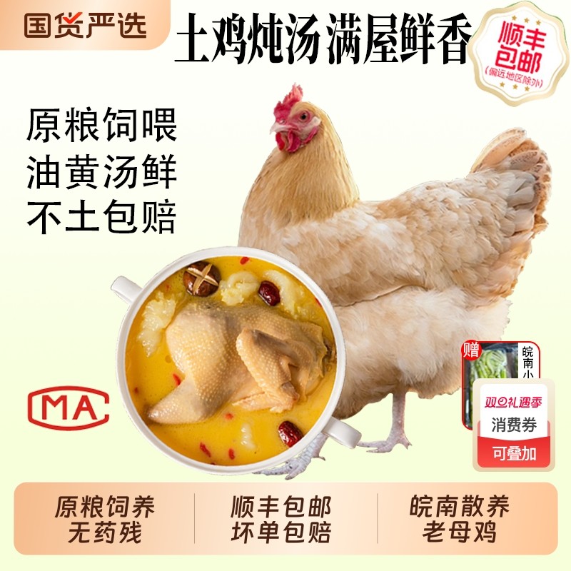 老母鸡正宗皖南深山农家散养土鸡全粮饲养土鸡现杀新鲜月子鸡