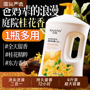 桂花香洗发水沐浴露男女持久留香72小时香去屑正品二合一大容量