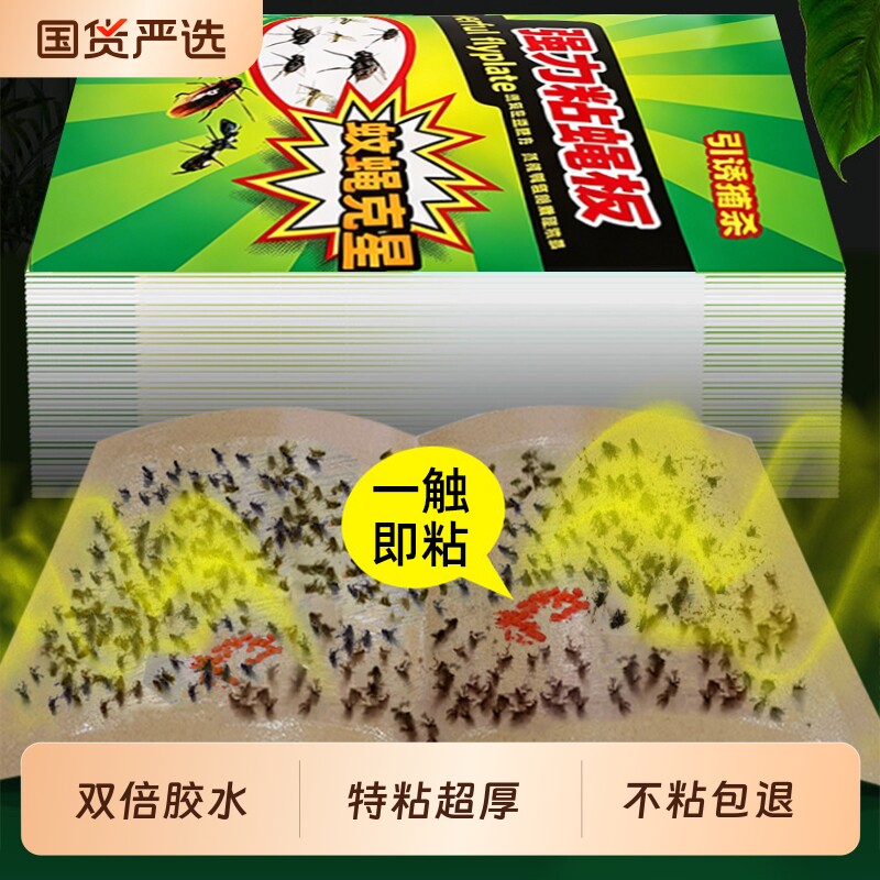 苍蝇贴强力粘蝇纸灭杀捕捉神器引诱饵沾蚊子板克星饭店家用小餐厅
