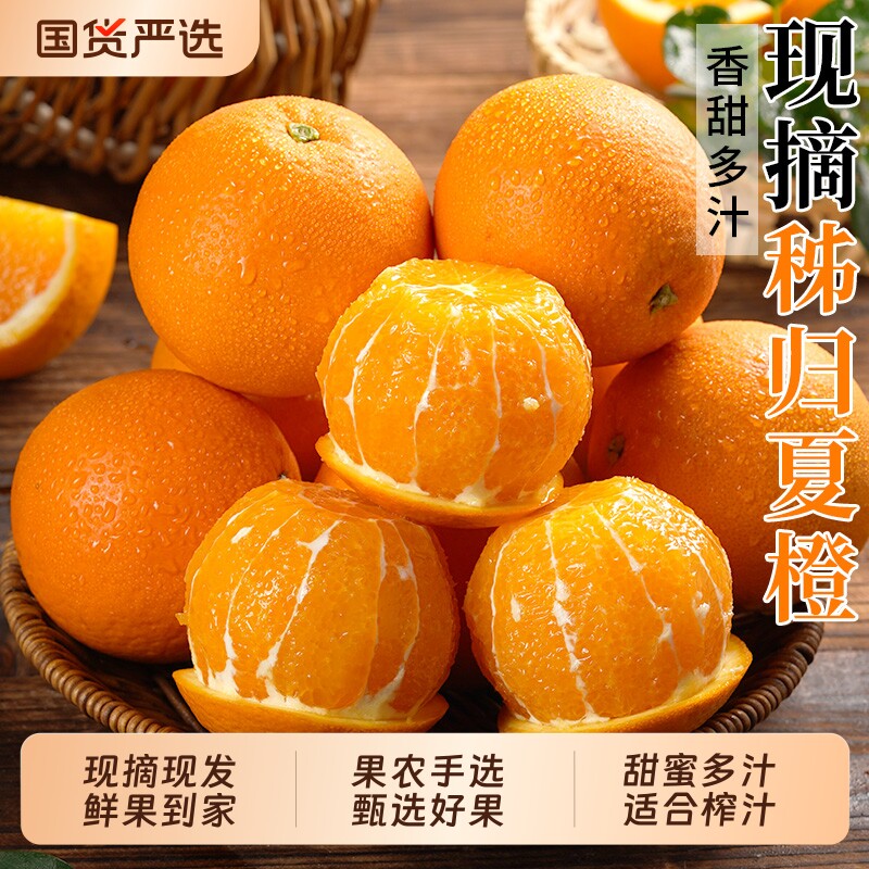 湖北夏橙脐橙春橙子现摘大果新鲜当季好果包邮水果手剥果冻甜橙