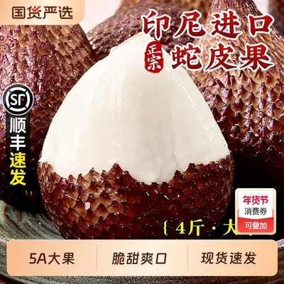 印尼进口蛇皮果新鲜水果包邮罕见热带应当季时令小众稀奇整箱鲜果