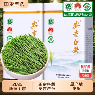 安吉白茶新茶抢鲜6A头采珍稀高山白茶特级明前嫩芽500g茶叶礼盒装