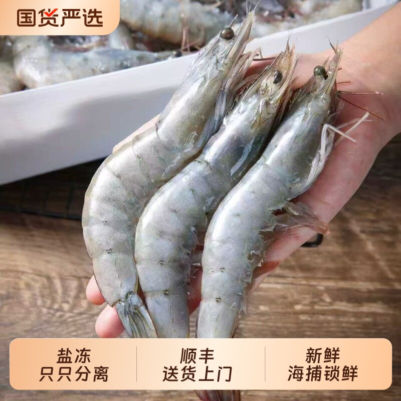 青岛海捕大虾鲜活速冻一整箱