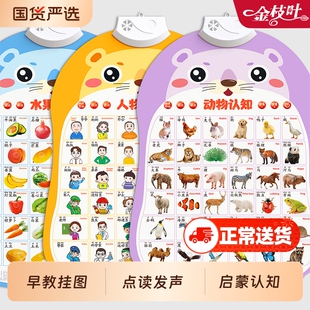 有声早教挂图婴幼儿启蒙认知早教触摸发声书儿童点读绘本宝宝学说话0到3岁一岁半两岁益智玩具书识字认字学习汉语拼音字母墙贴神器