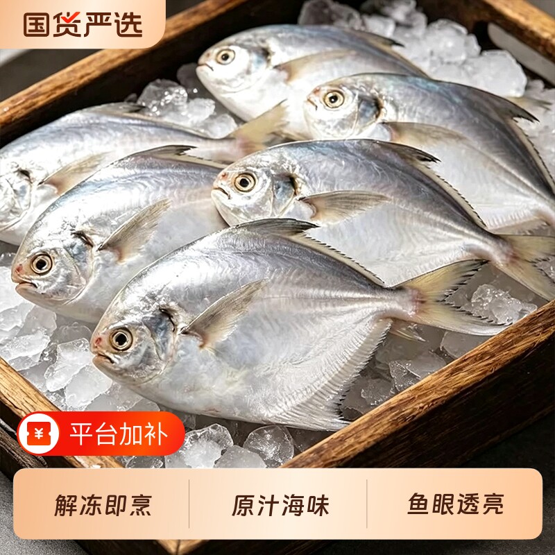 鲜活速冻小银鲳冷冻白鲳平鱼油炸小鲳鱼家常红烧海鱼餐桌美味海鲜