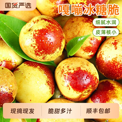 【官方推荐】大荔冬枣|顺丰包邮|