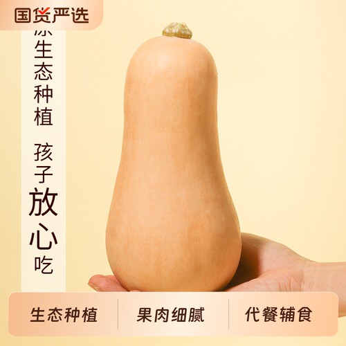 阿根廷奶油南瓜香甜软糯 2026新鲜现摘农家自种小南瓜宝宝辅食9斤
