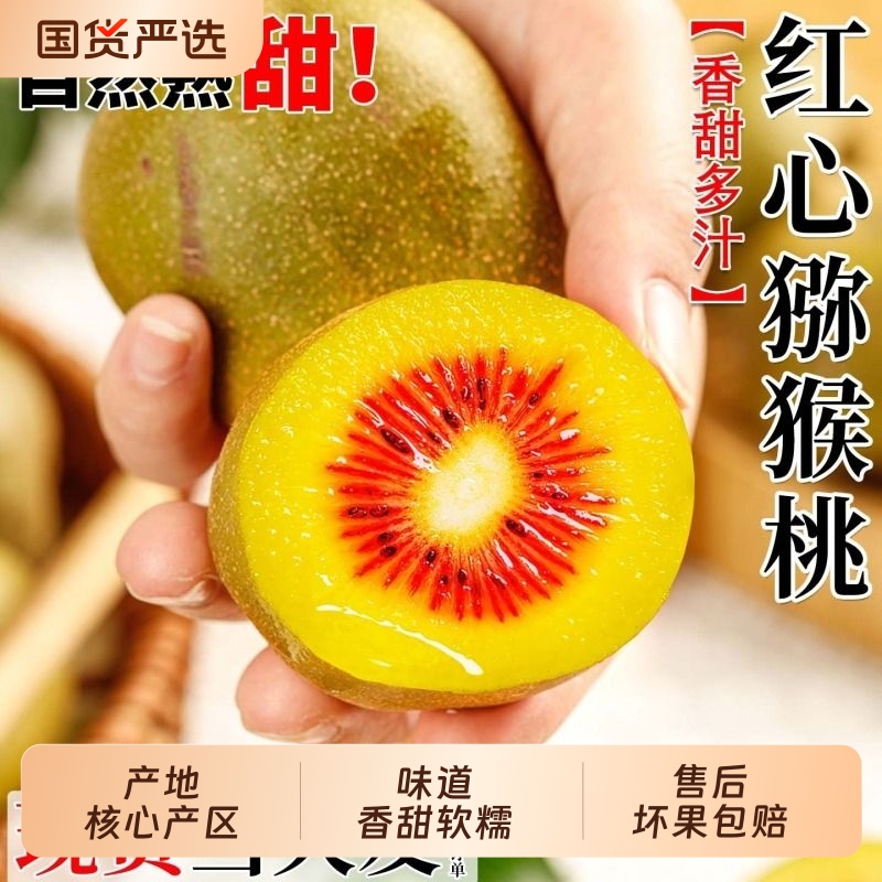 四川蒲江红心猕猴桃|103人收藏