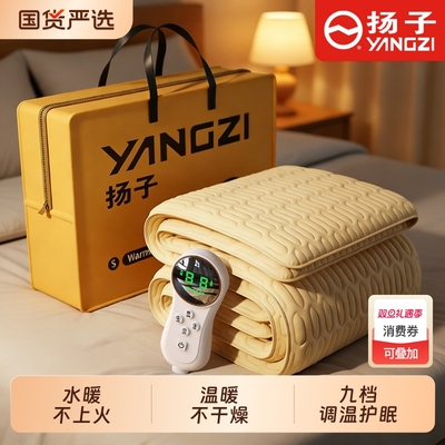 水暖电热毯电褥子双人双控2025新款水暖毯单人正品官方旗舰店品牌
