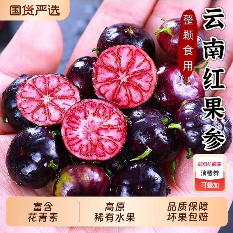 云南红果参新鲜水果稀有当季蜘蛛果算盘果采摘整颗可吃整箱包邮