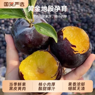 正宗黄肉黑布林黑皮大李子应当季新鲜孕妇水果脆甜多汁恐龙蛋李子