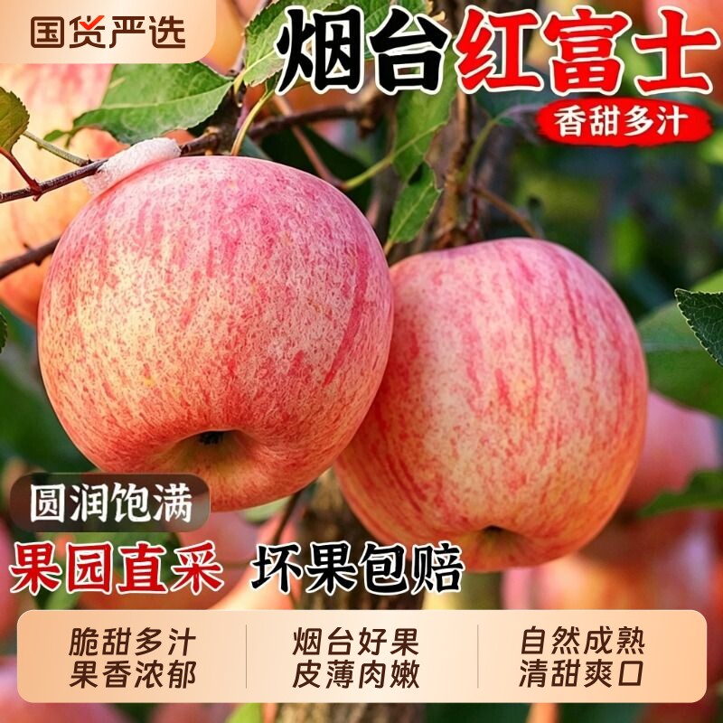 正宗烟台红富士80mm+【果王】净重4.5斤