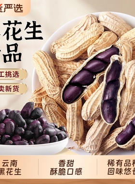 云南黑花生新货精品下酒菜健康休闲小零食黑皮带壳五香国货黑色